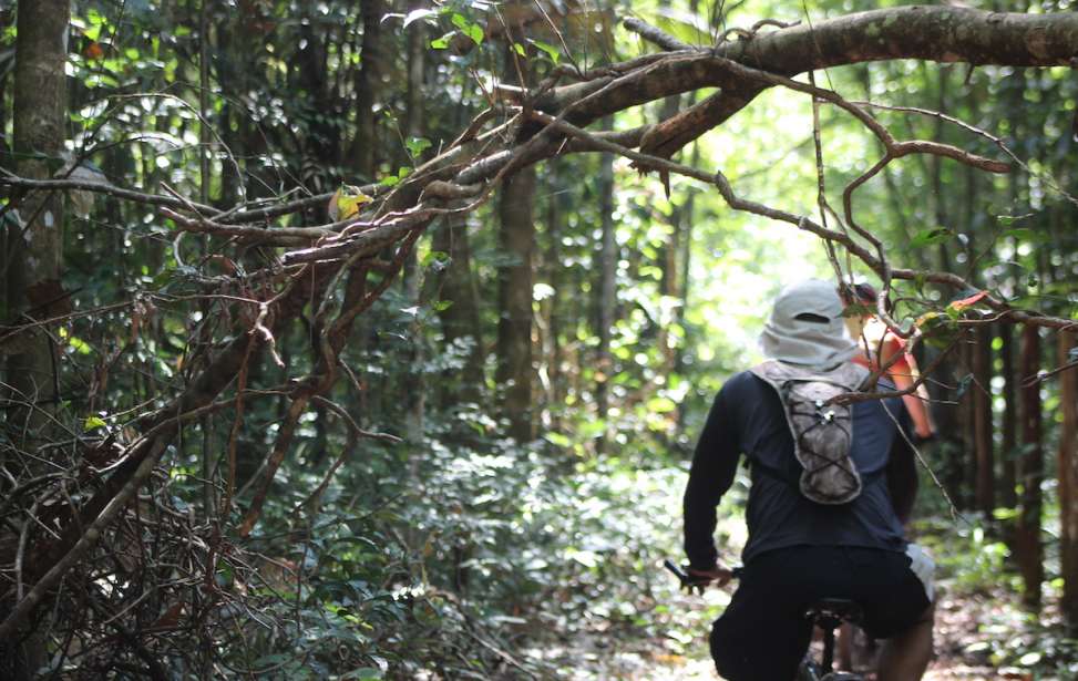 Bikers Rio pardo | Roteiro | 2 | Trilha Amazônia Atlântica