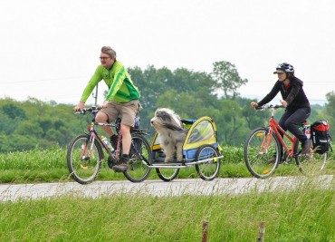 Bikers Rio Pardo | NOTÍCIAS | Europa planeja 70 mil km de rotas cicloturísticas conectando 42 países