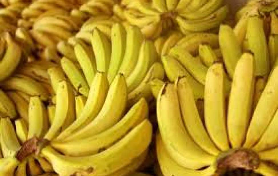 Bikers Rio Pardo | Dicas | 10 alimentos que têm mais potássio do que a banana