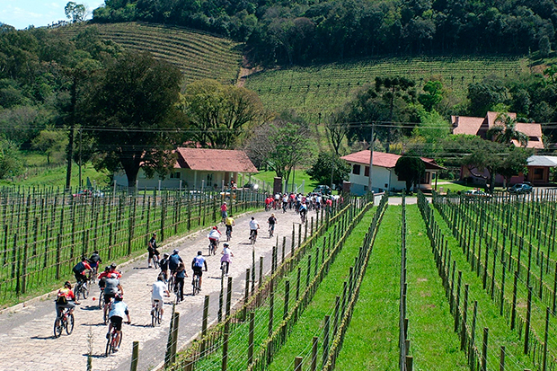 Vale dos Vinhedos