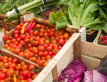 Bikers Rio Pardo | Dicas | 7 alimentos para ciclistas (e todos os atletas) terem na cozinha