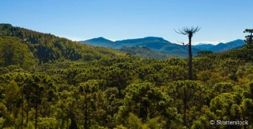 Bikers Rio pardo | Roteiros | Turismo em Monte Verde: O que fazer no destino Mineiro