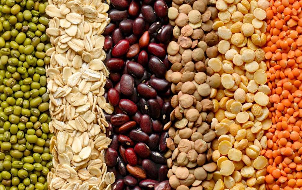 Bikers Rio pardo | Dicas | Leguminosas: garantia de nutrientes para os ciclistas
