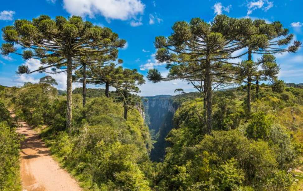 Bikers Rio Pardo | NOTÍCIAS | 7 destinos de viagem que ficam melhores de bike