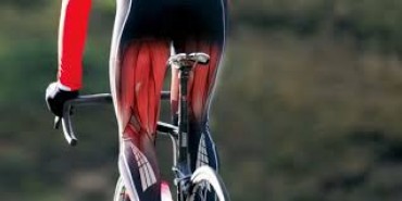 Bikers Rio Pardo | ARTIGOS | CÃIBRAS: Porque acontece e como evitar?